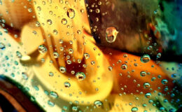 013 - annette suter -  regenskisport